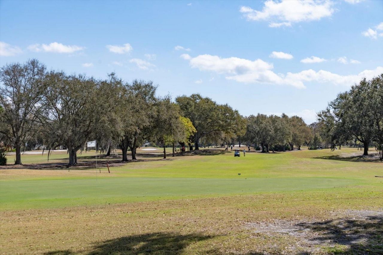 3160 Masters Drive, Clearwater, FL 33761 Photo