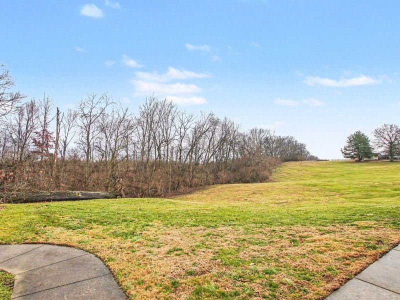 12067 Old Lexington Pike, Walton, KY 41094 Photo 31