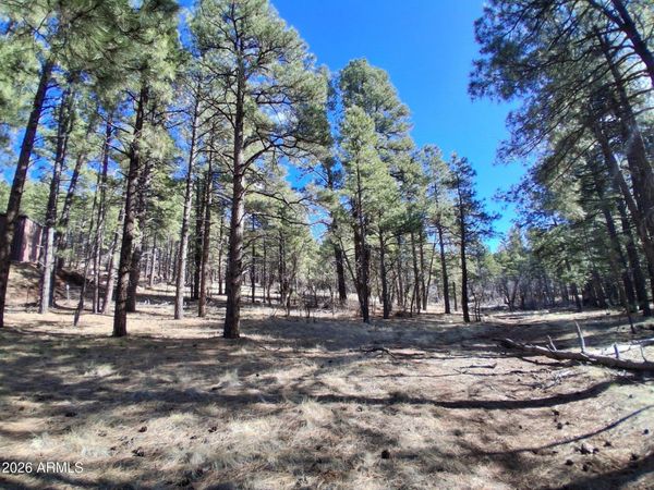 13696 E KINGS DEER Road, Unit -, Parks, AZ 86018