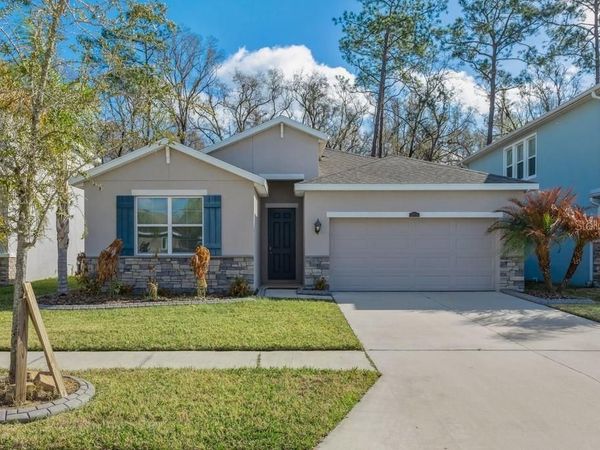 32959 SAND CREEK DRIVE, WESLEY CHAPEL, FL 33543