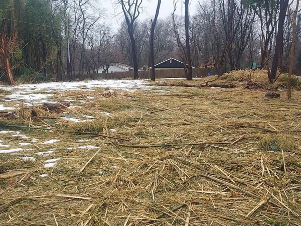 OHIO AVENUE, EARLEVILLE, MD 21919