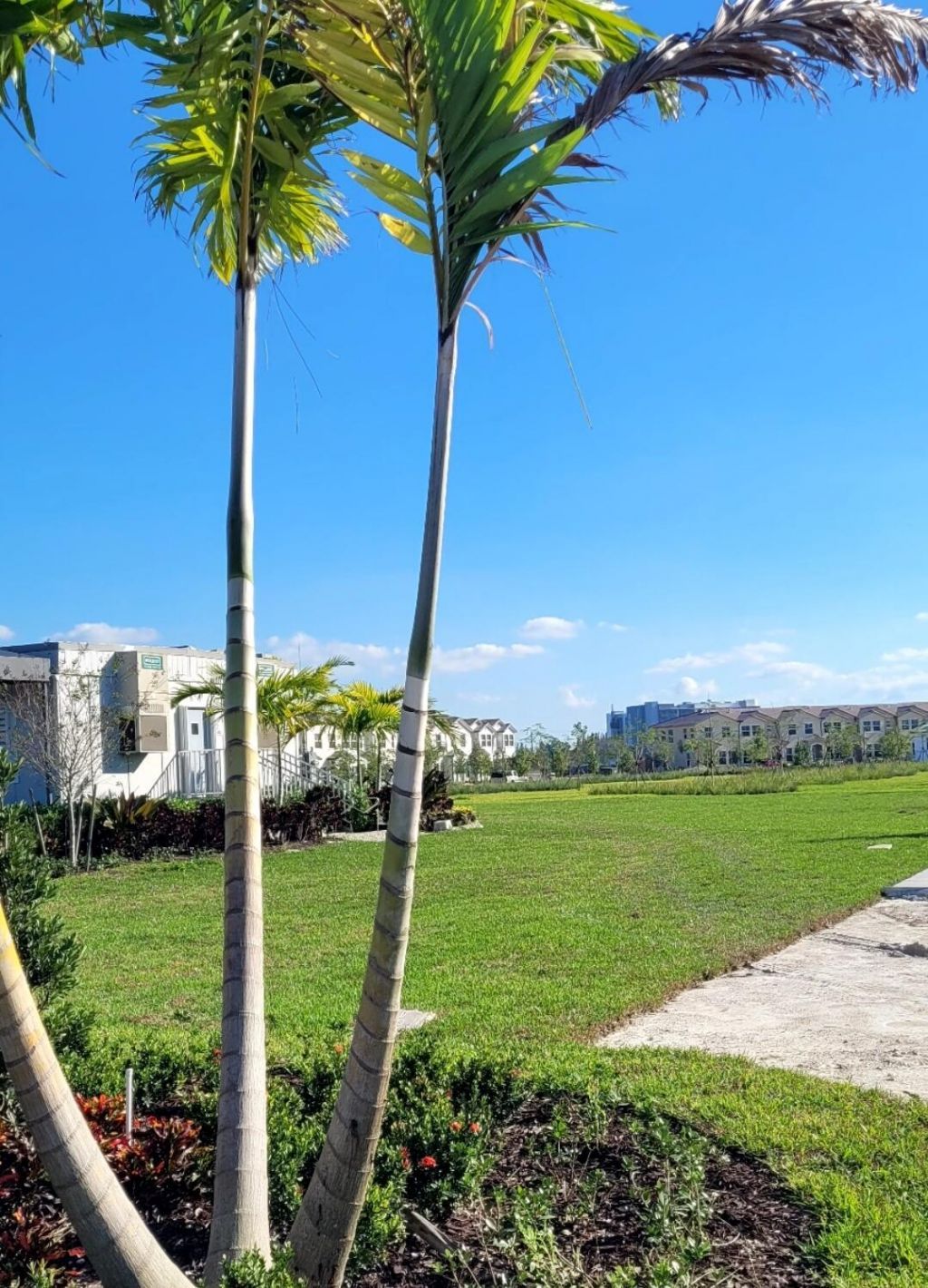 26426 SW 148th Court, Homestead, FL 33032 Photo