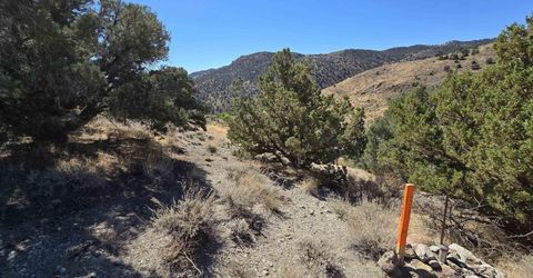 004-311-01 Six Mile Canyon Road, Virginia City, NV 89440 Photo