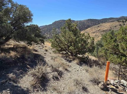 004-311-01 Six Mile Canyon Road, Virginia City, NV 89440 Photo