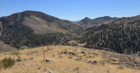 004-311-01 Six Mile Canyon Road, Virginia City, NV 89440 Photo