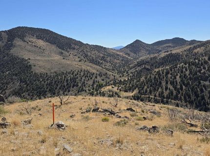 004-311-01 Six Mile Canyon Road, Virginia City, NV 89440 Photo