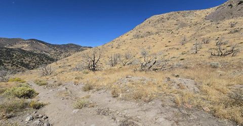 004-311-01 Six Mile Canyon Road, Virginia City, NV 89440 Photo