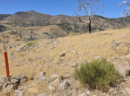 004-311-01 Six Mile Canyon Road, Virginia City, NV 89440 Photo