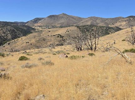 004-311-01 Six Mile Canyon Road, Virginia City, NV 89440 Photo