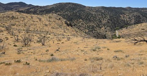 004-311-01 Six Mile Canyon Road, Virginia City, NV 89440 Photo