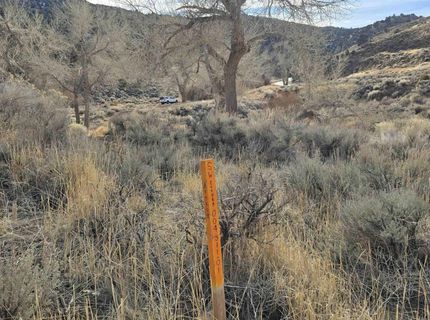 004-311-01 Six Mile Canyon Road, Virginia City, NV 89440 Photo