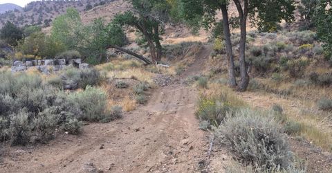 004-311-01 Six Mile Canyon Road, Virginia City, NV 89440 Photo