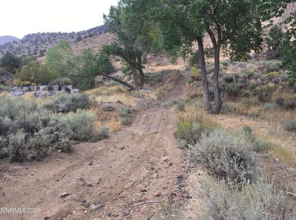 004-311-01 Six Mile Canyon Road, Virginia City, NV 89440 Photo