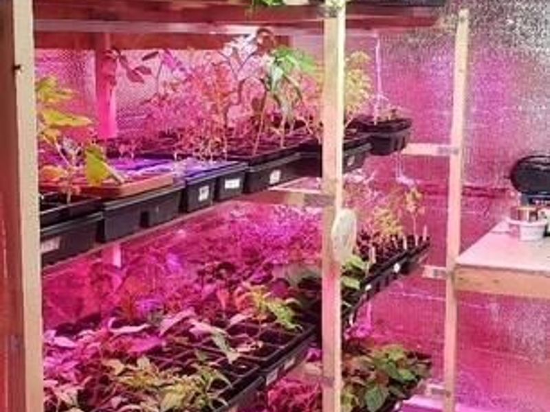 450 State Route 314, Centerburg, OH 43011 Photo 35