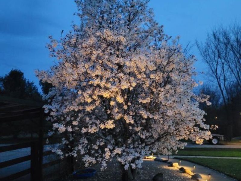 450 State Route 314, Centerburg, OH 43011 Photo 52