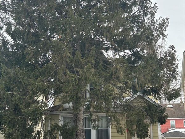 14712 15th Drive , Whitestone, NY 11357