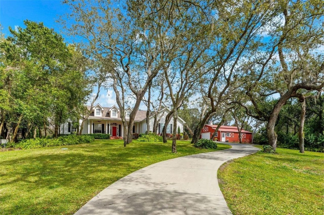 653 Old East Lake Road, Tarpon Springs, FL 34688 Photo