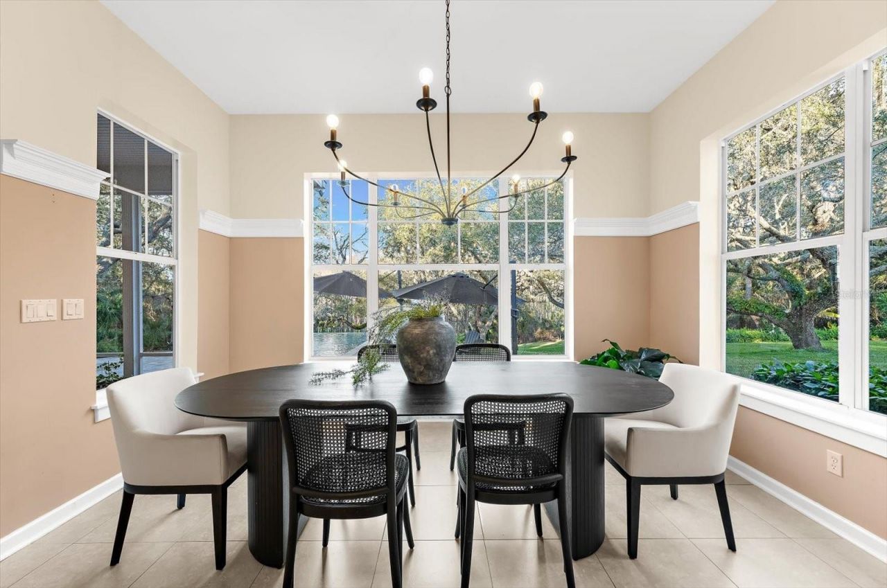 653 Old East Lake Road, Tarpon Springs, FL 34688 Photo