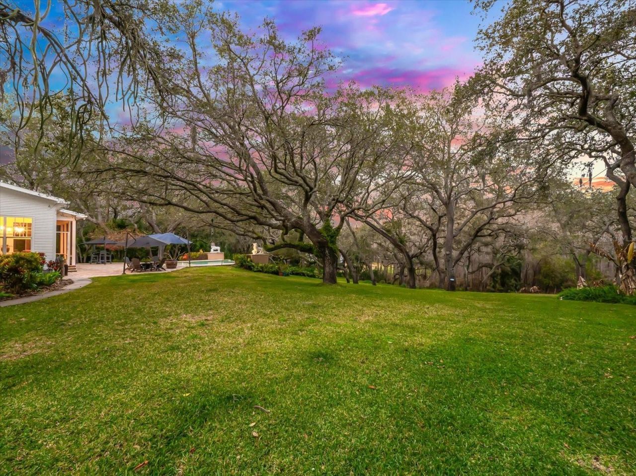 653 Old East Lake Road, Tarpon Springs, FL 34688 Photo