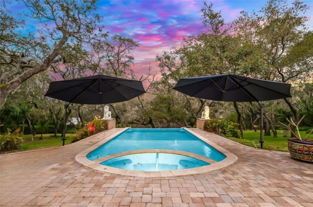 653 Old East Lake Road, Tarpon Springs, FL 34688 Photo