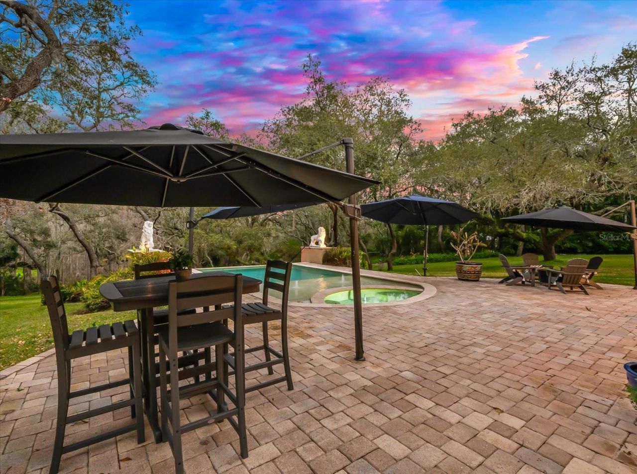 653 Old East Lake Road, Tarpon Springs, FL 34688 Photo