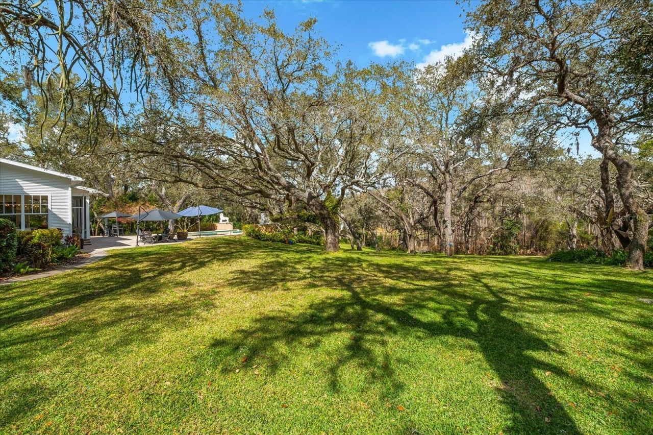 653 Old East Lake Road, Tarpon Springs, FL 34688 Photo