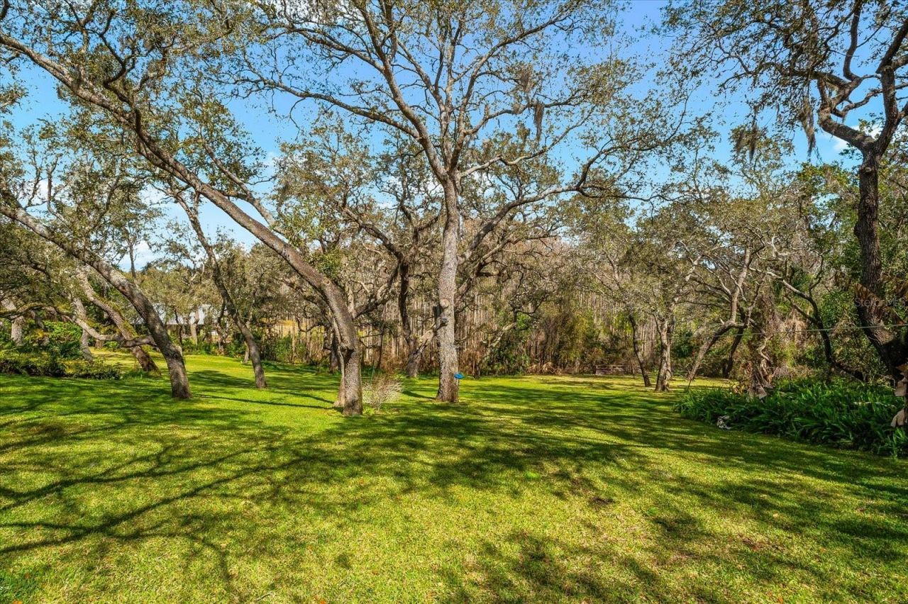 653 Old East Lake Road, Tarpon Springs, FL 34688 Photo