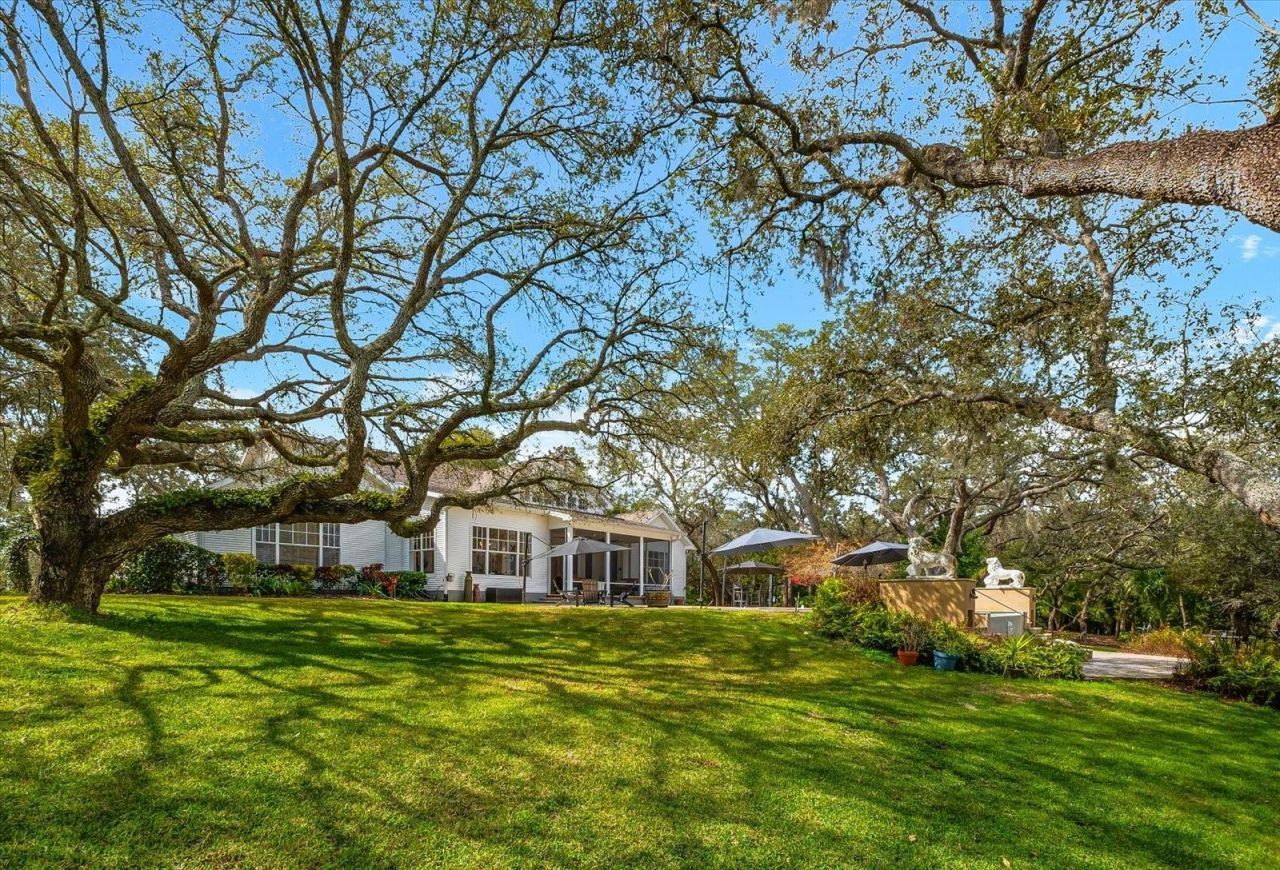 653 Old East Lake Road, Tarpon Springs, FL 34688 Photo