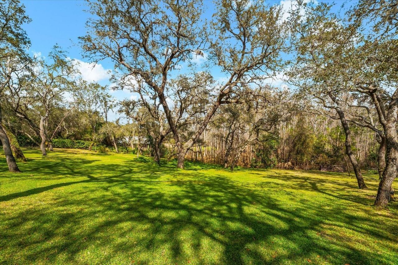 653 Old East Lake Road, Tarpon Springs, FL 34688 Photo