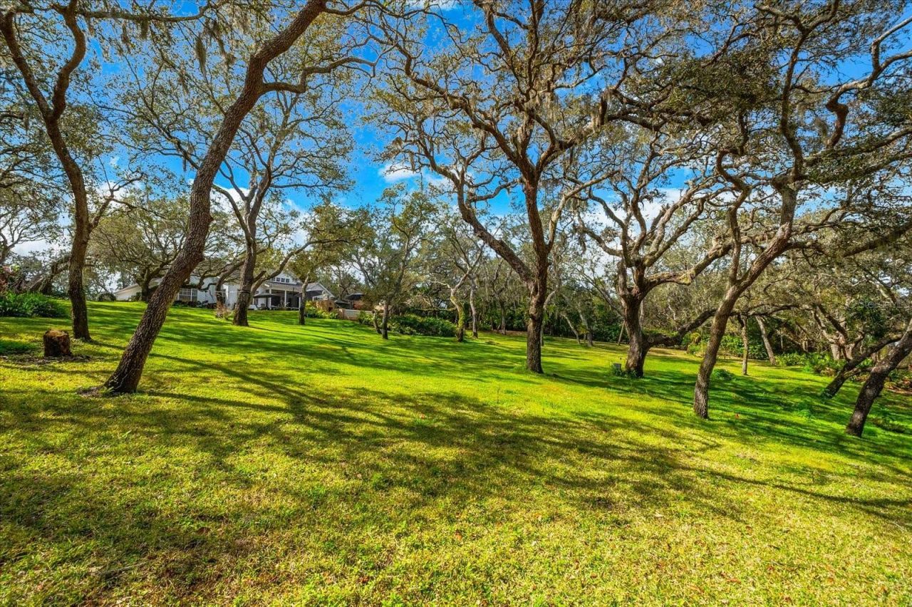 653 Old East Lake Road, Tarpon Springs, FL 34688 Photo