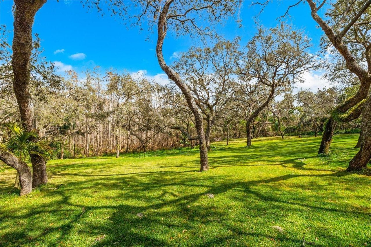 653 Old East Lake Road, Tarpon Springs, FL 34688 Photo