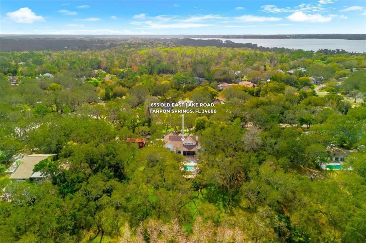 653 Old East Lake Road, Tarpon Springs, FL 34688 Photo
