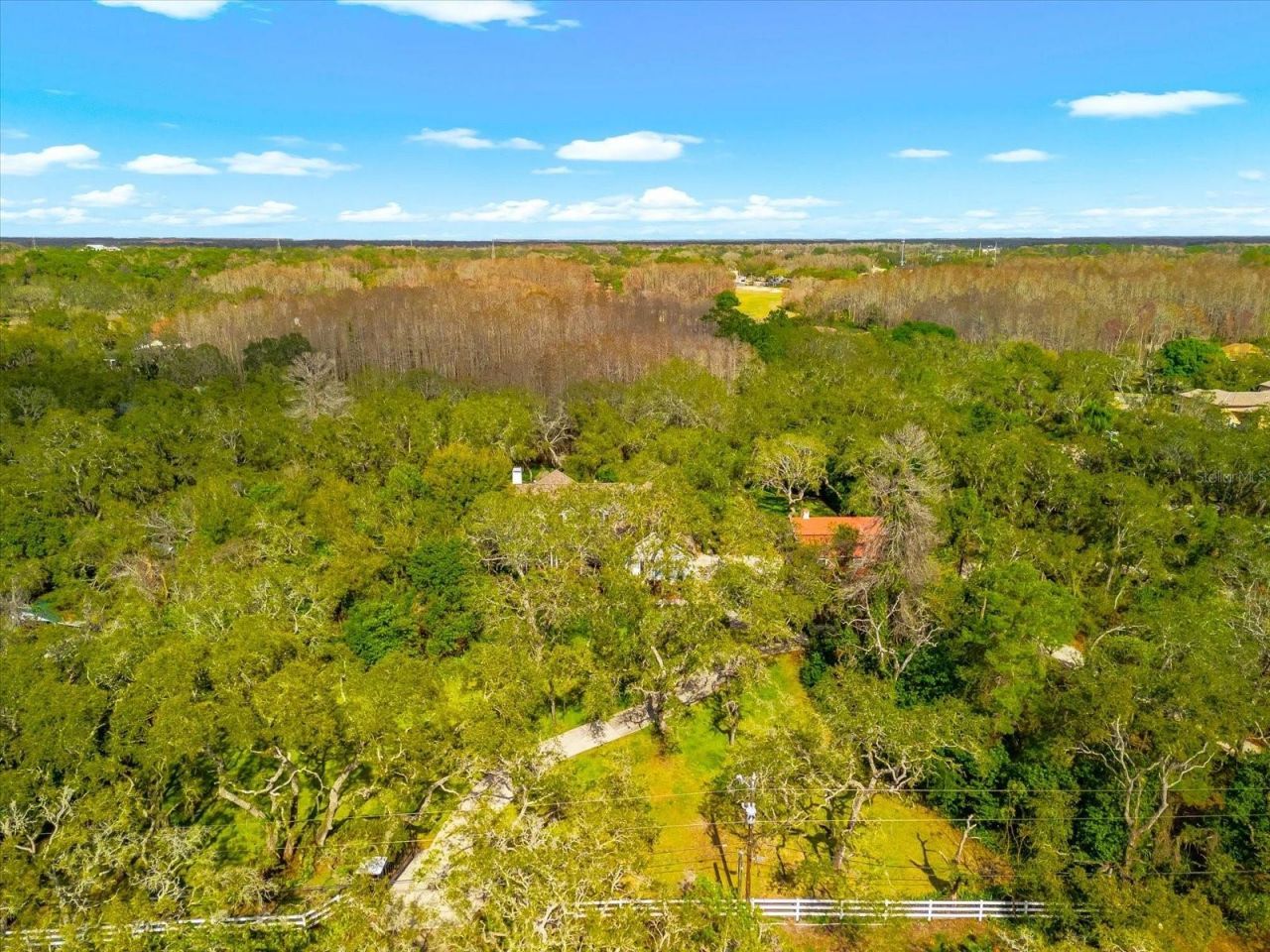 653 Old East Lake Road, Tarpon Springs, FL 34688 Photo