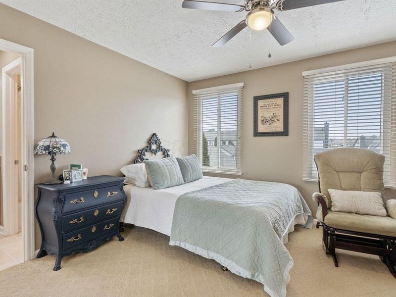 6341 Tara Hill Drive, Dublin, OH 43017 Photo 17