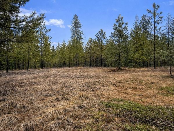 1420 Driskill Rd, Newport, WA 99156