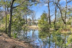 688 Pelzer Drive photo 4