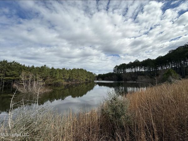 Dyess Road, Carson, MS 39427