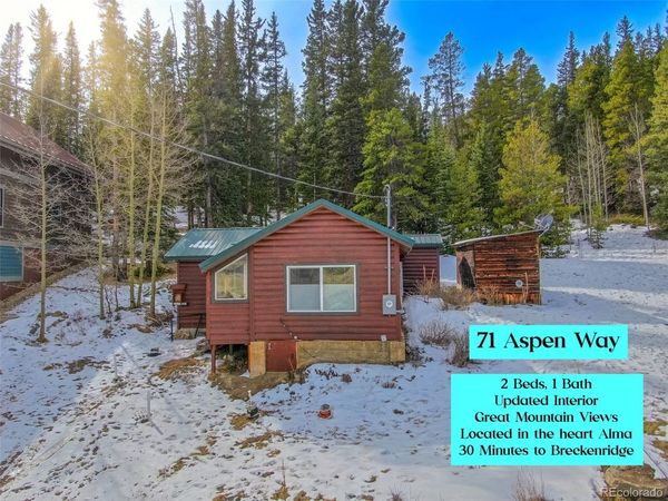71 Aspen Street , Alma, CO 80420