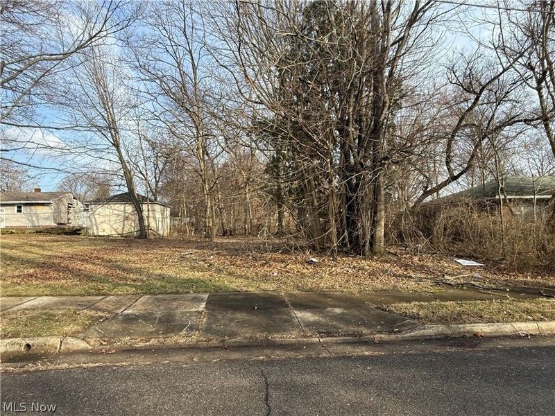 Washburn Street, Akron, OH 44307 Photo 1