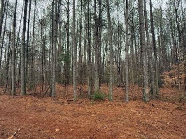 0 Cherry Hill Rd, Mc Kenney, VA 23872