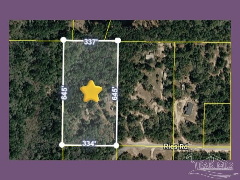Ries Rd, Laurel Hill, FL 32567 Main Photo