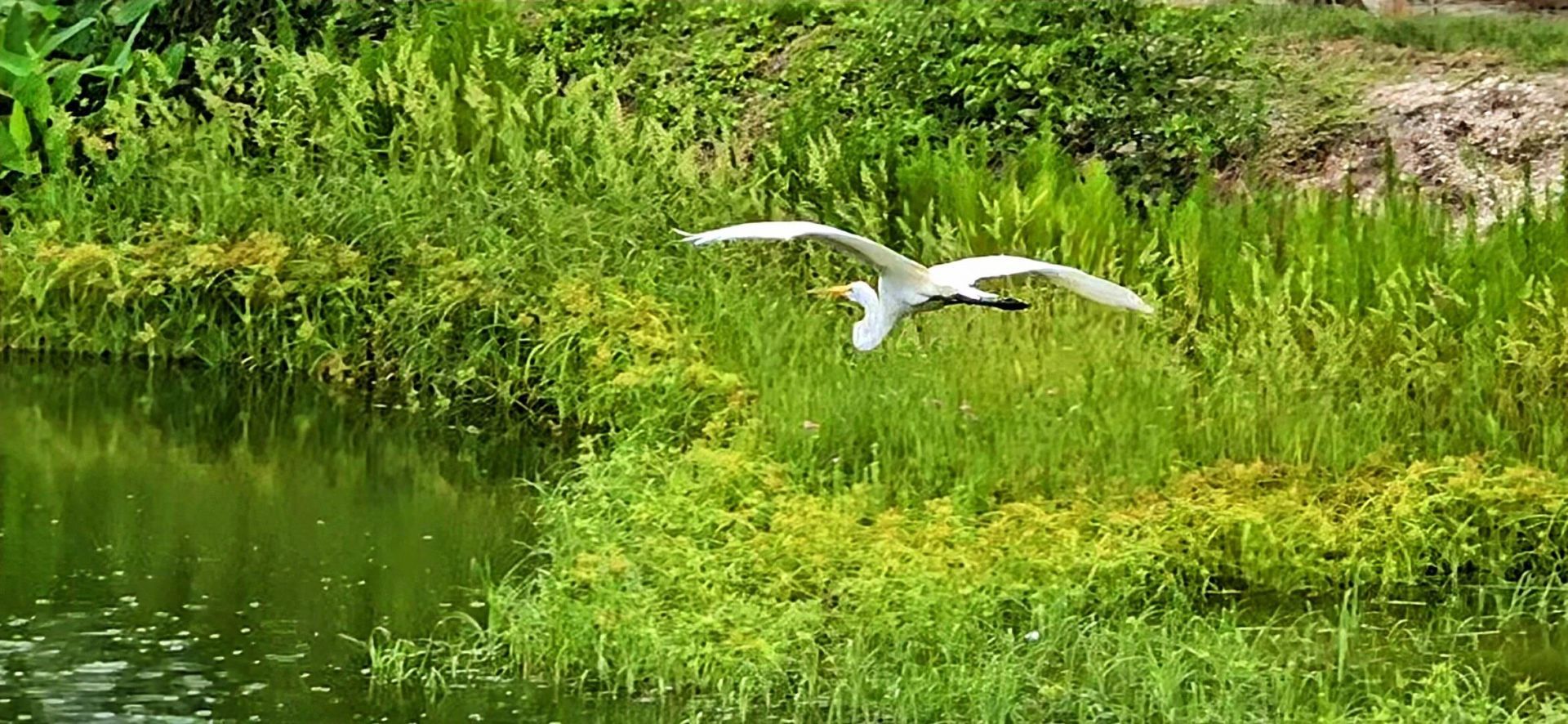 1440 NW 48th Drive, Boca Raton, FL 33431 Photo