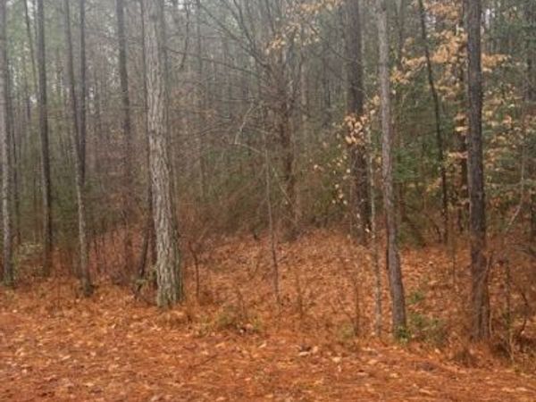 00 Cherry Hill Rd , Mc Kenney, VA 23872