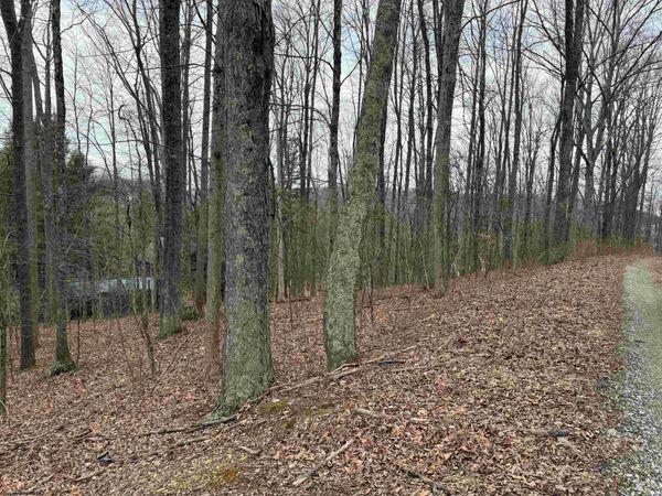 TBD Elliott Avenue, Belington, WV 26250