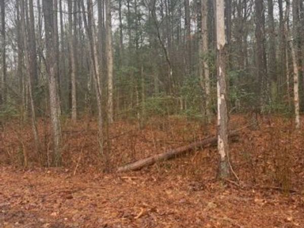 000 Cherry Hill Rd , Mc Kenney, VA 23872