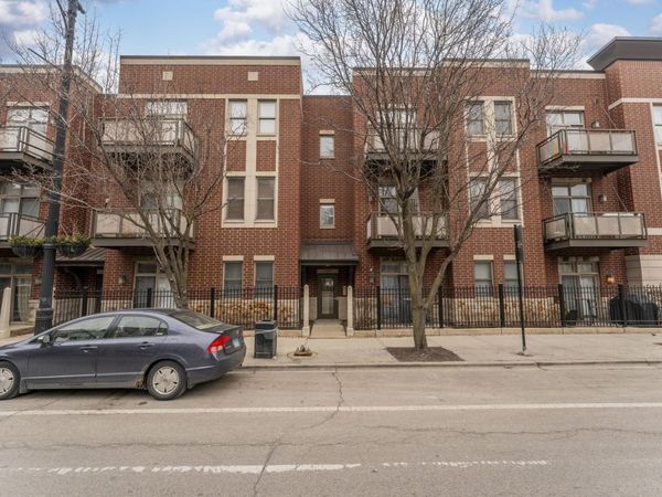 1355 S Halsted Street, Unit 204, Chicago, IL 60607