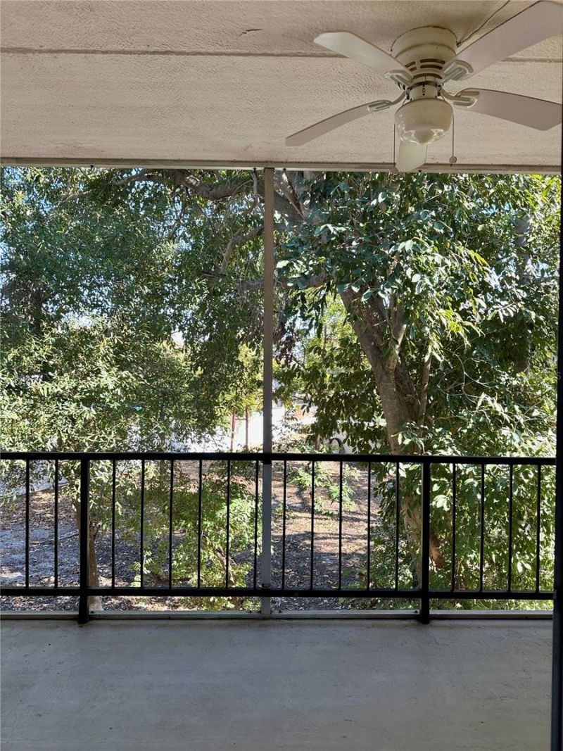 4435 1st Street Ne, Unit 205, Saint Petersburg, FL 33703 Photo