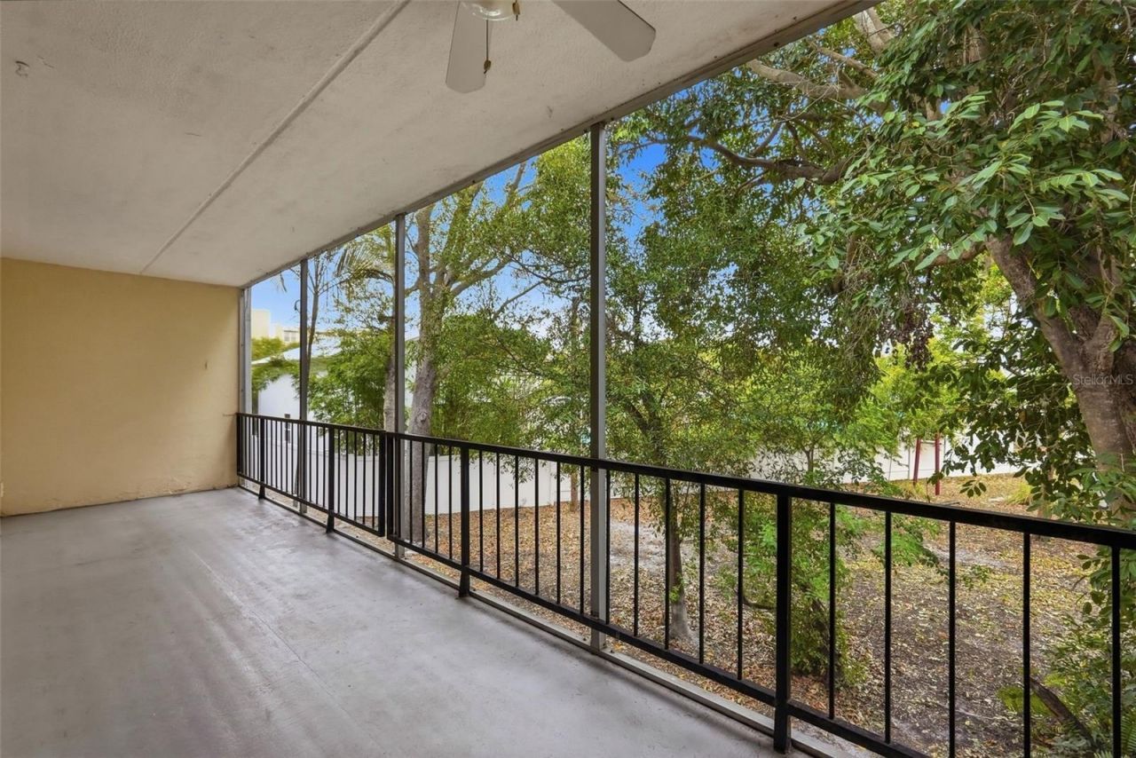 4435 1st Street Ne, Unit 205, Saint Petersburg, FL 33703 Photo