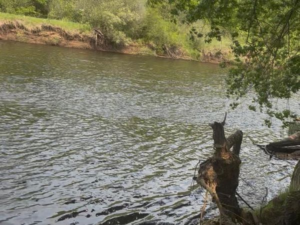 1995 Royal Heights Lane , Braham, MN 55006