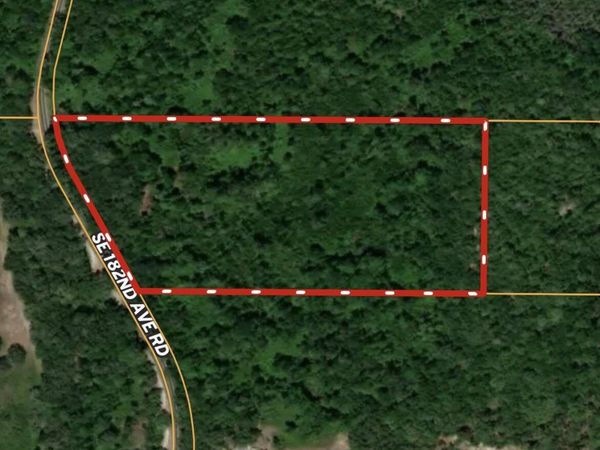 0 SE SE 182ND AVE RD Road, Ocklawaha, FL 32179